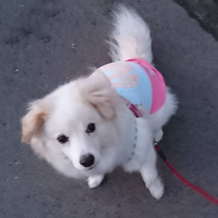 1a50f4c2 6956 4281 a13b d95c595f3c2b