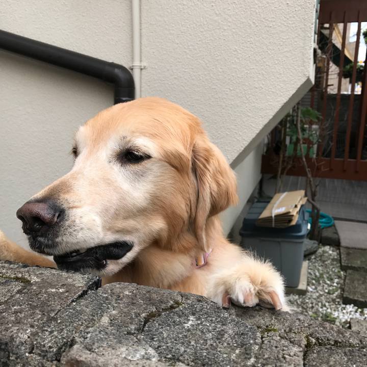 1a519aec efdb 48ea b53d 5968e05fe70e