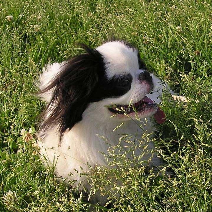 1a51bf4c 5aab 4e67 aa85 48c15a41d452