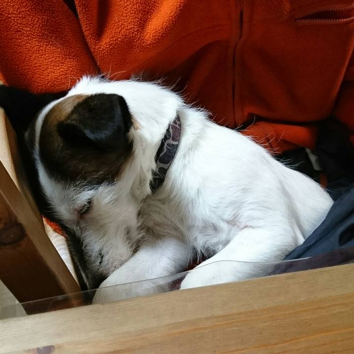 1a530348 313d 4dea 922d 54f9c5e1cfe0