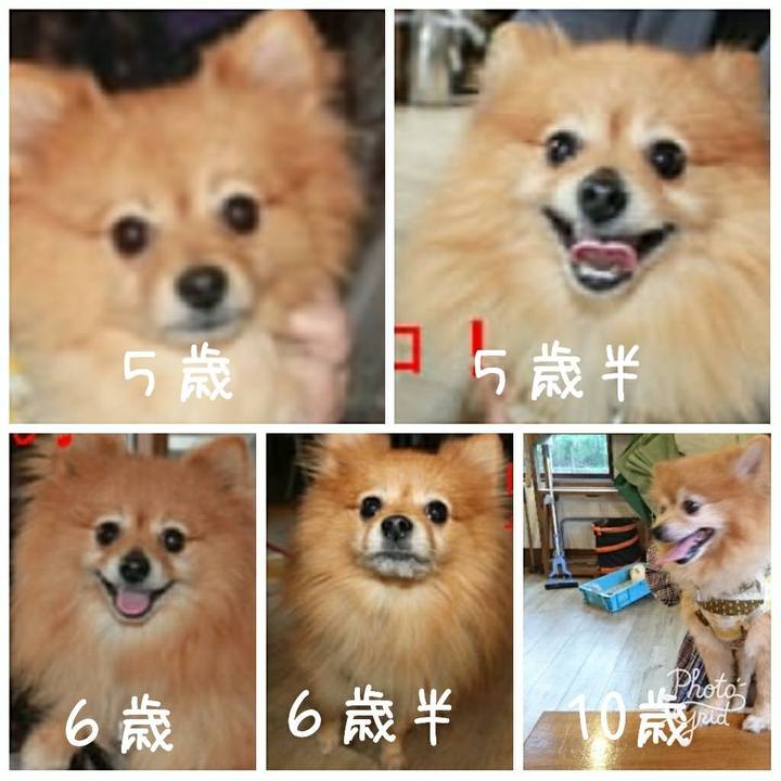 1a531688 edee 489e a689 3199fce15ded