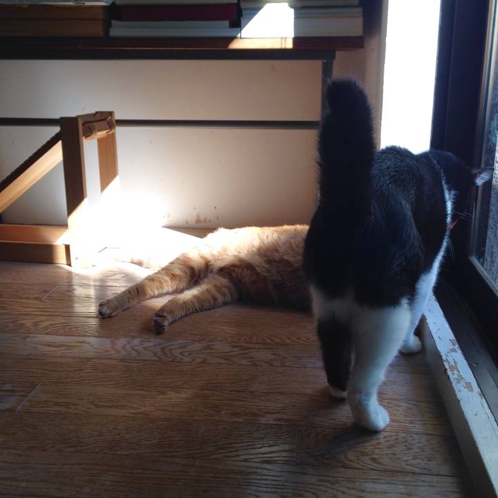 1a53366e f82c 427e 9b38 8351509d23be