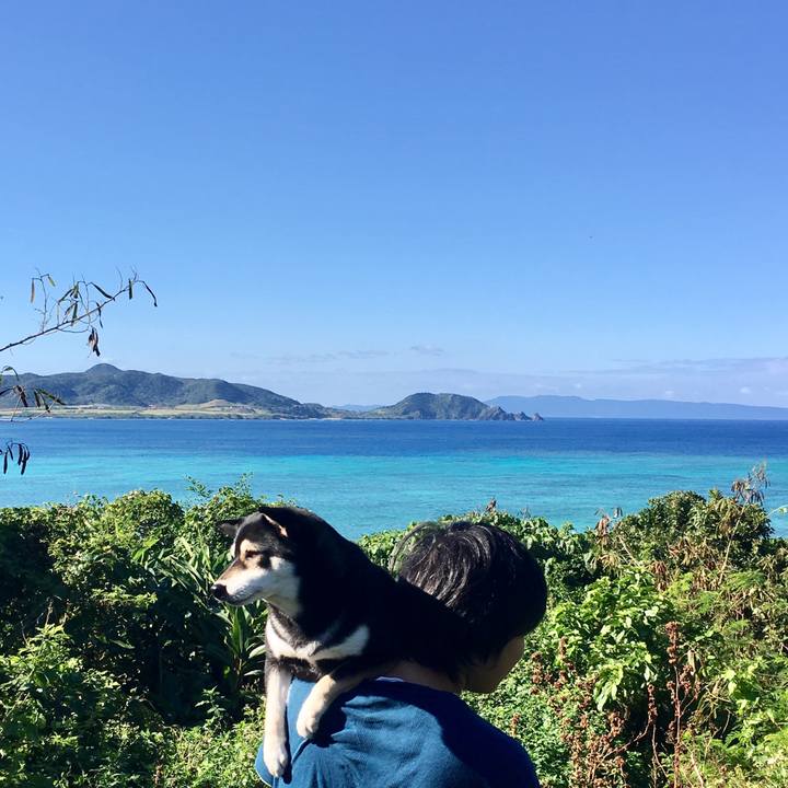 1a53461b 6fcc 461b 8fd8 a3a1f4d1713e