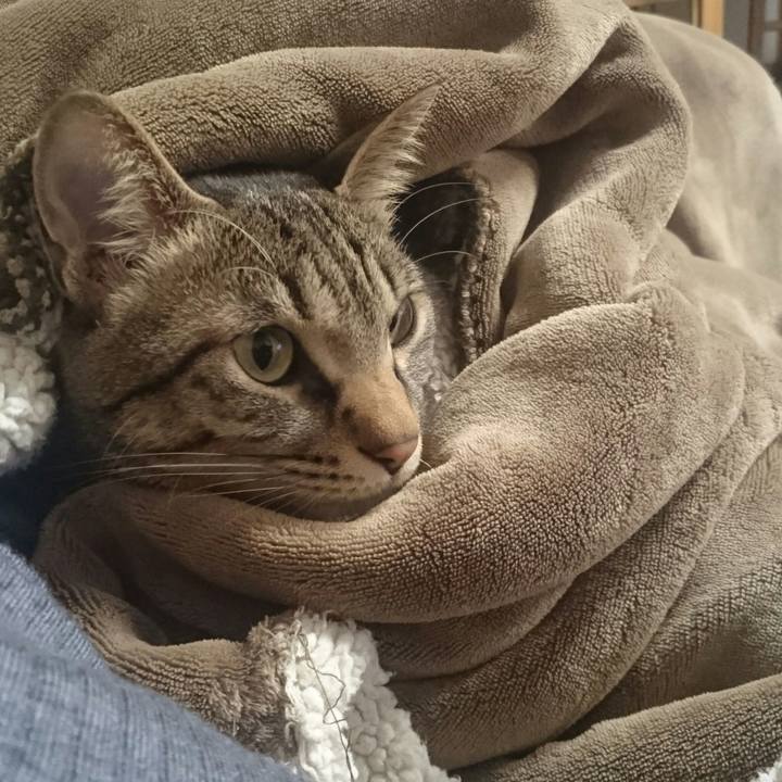 1a53f138 6334 42e6 a908 b49254342ee0