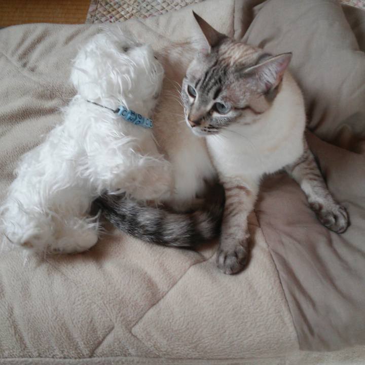 1a548058 7fa0 4c84 92ad 6912563249e5