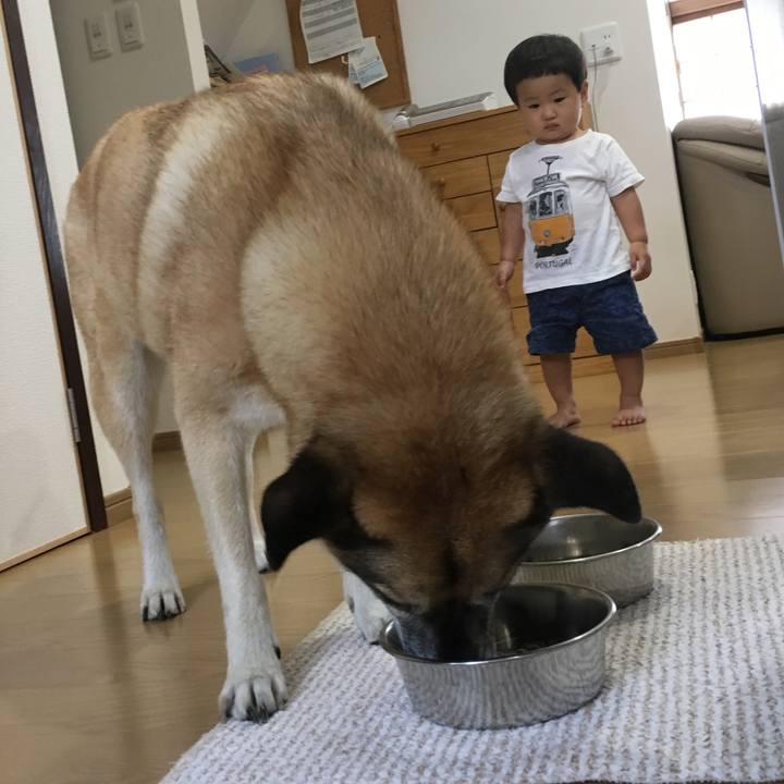 1a551394 7f2b 4e20 87d0 875e5091b673