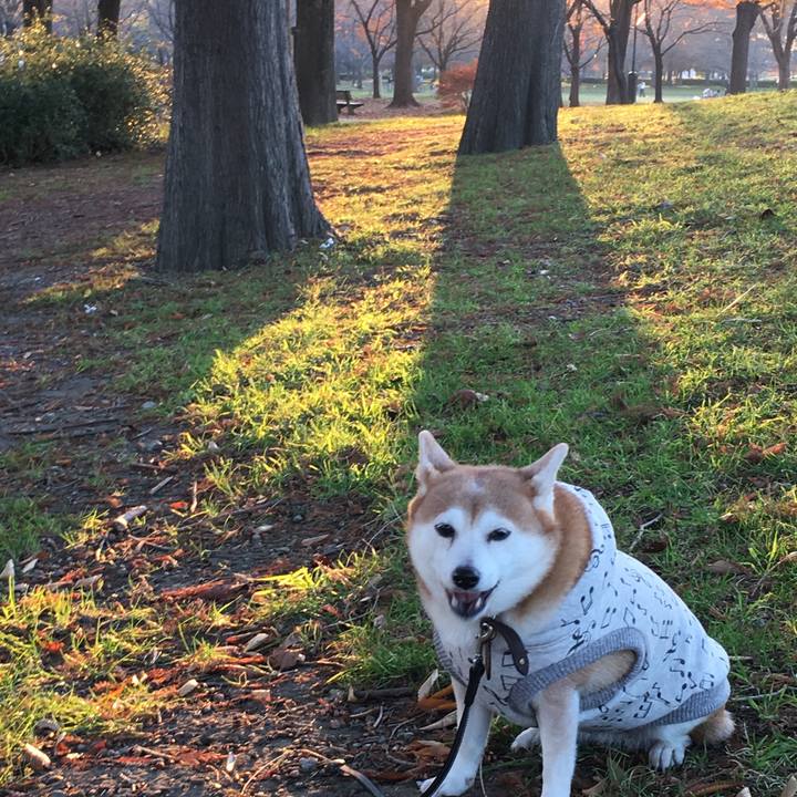 1a5581f7 1f59 455d ba2a 6c6800a2d5f0