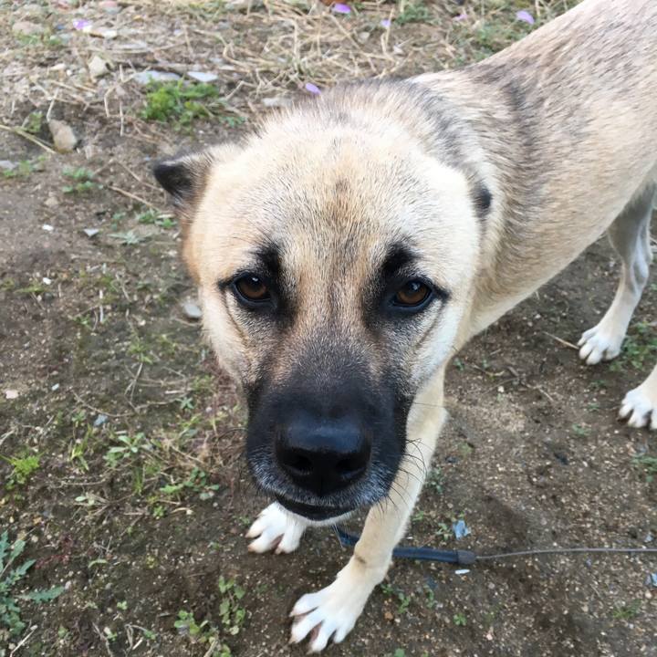 1a559506 7855 41aa baa8 ecbc2a1fd50b