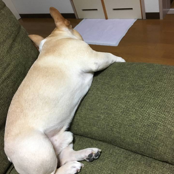 1a55967a b9db 457a 95ac 7b852d9934ea