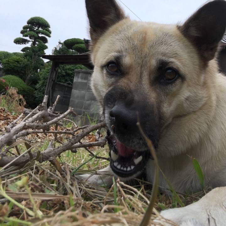 1a5607b2 7a70 466d 93da efb4bdad3695