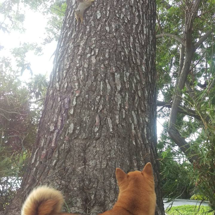 1a564058 6141 4c54 ae0e fc9fdcdb275f