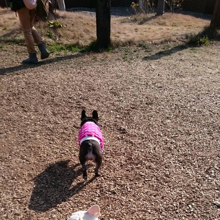 1a56611a 91e4 4c71 bb53 881bde1951d8