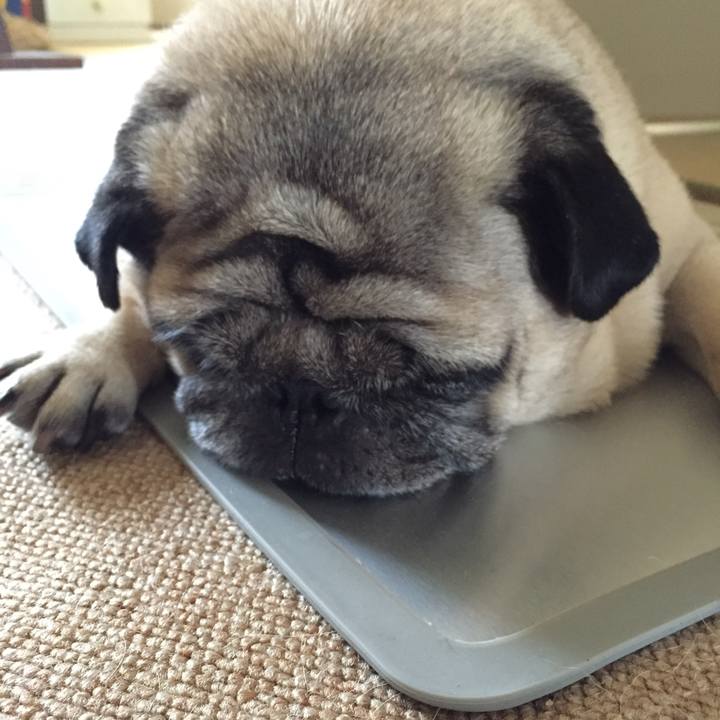 1a575fb2 3dec 4f4e 891b 8d1d9ac88c01