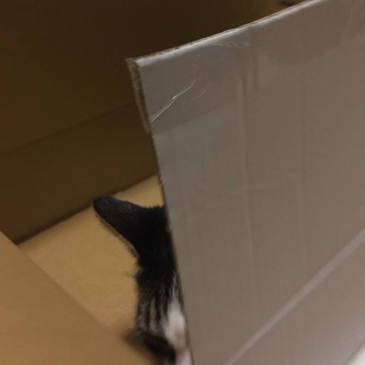 1a57996b 3b23 43ca a65f 9202bc2035fd