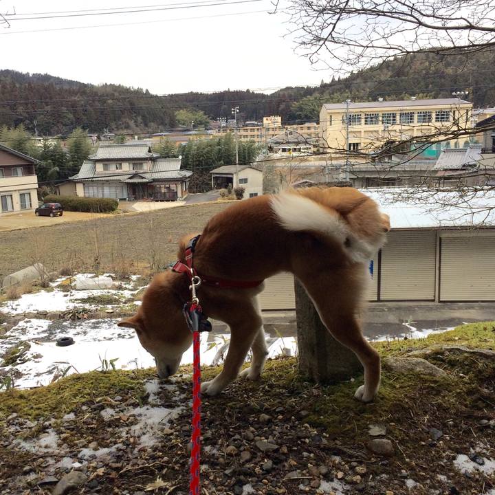 1a5843df 7b06 4e31 8a82 e63110746545