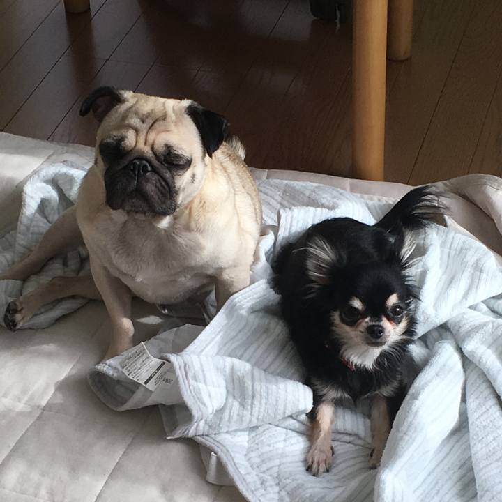 1a5878da ce4c 4cca 9a70 0438d9ad9095