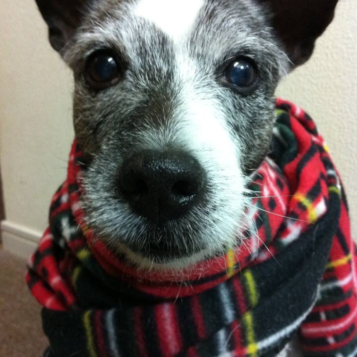 1a58c2bd b0b1 49ba b00c da7b4fa9babf