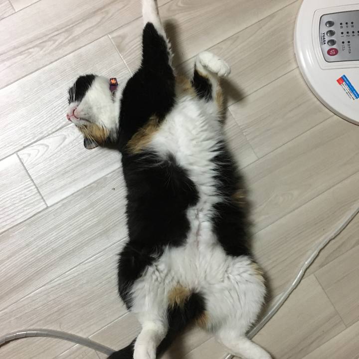 1a58d3c0 101e 477d b495 d4c9135c6386