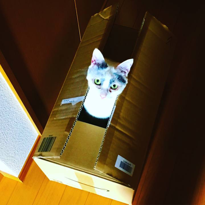 1a58f9c2 7cff 4c76 96e6 00e78f467a67