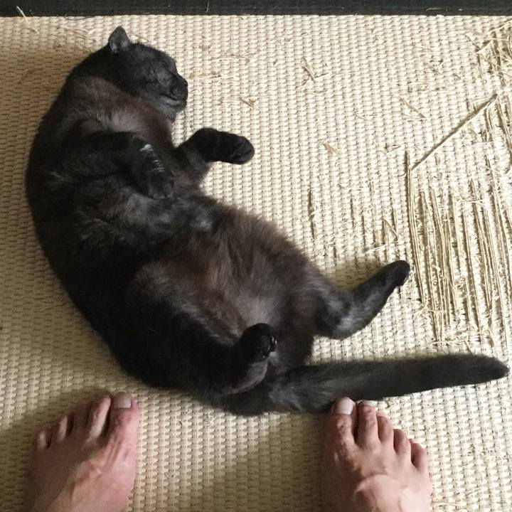 1a591c57 2005 4f4c 8394 f68ab7f0503d