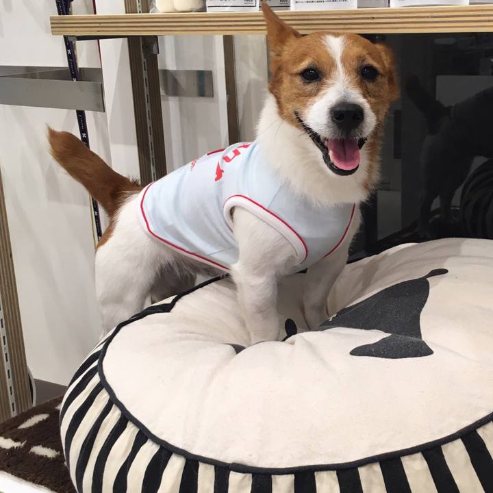 1a5af7c0 2b12 4ded a720 85494f7c01fb