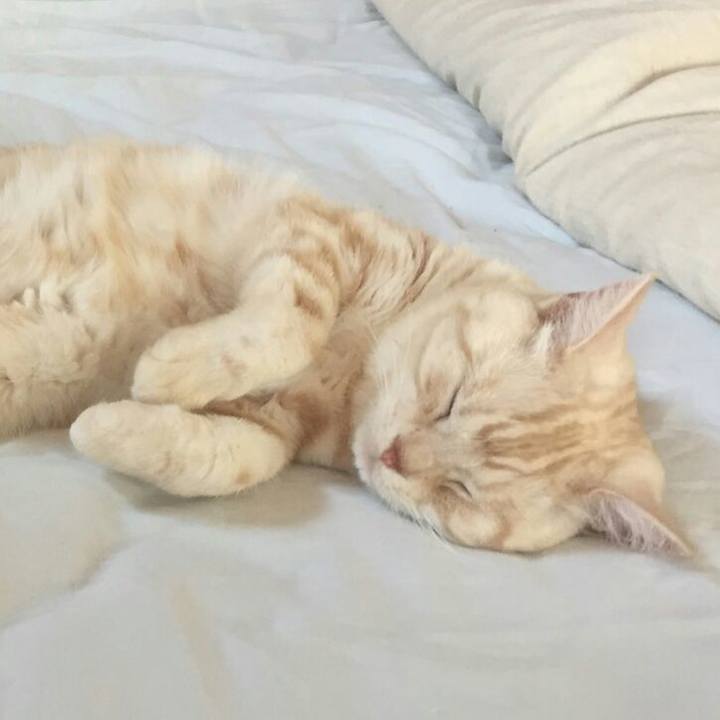 1a5b067d 2250 4017 9679 45fc6d118541