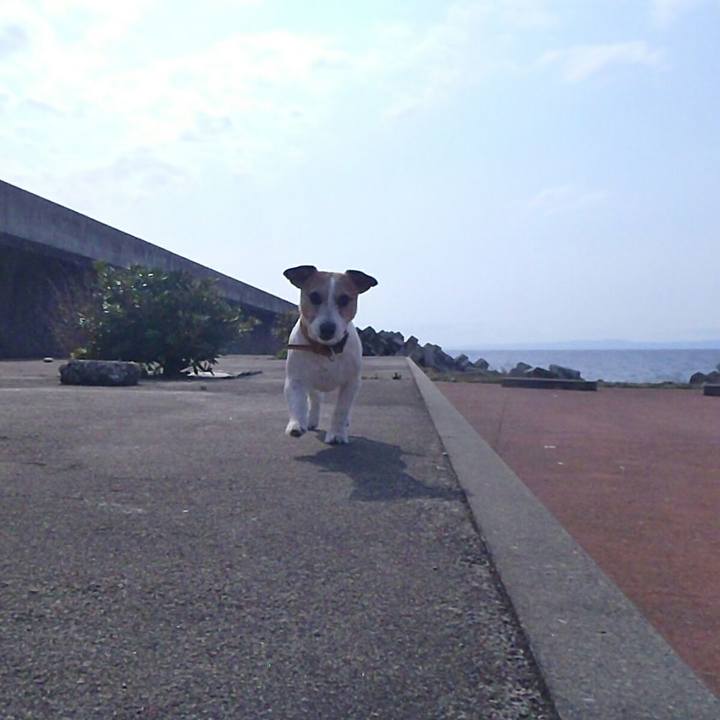 1a5b5307 d024 425f ac4a 529f4384343a