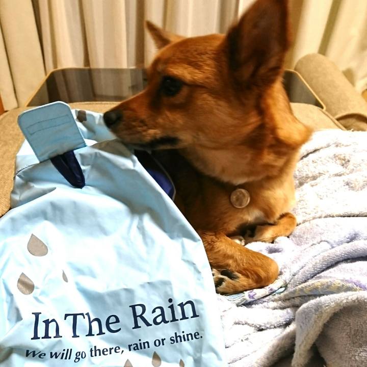 1a5b9584 4f7d 4726 942b 2c32bf91dd87