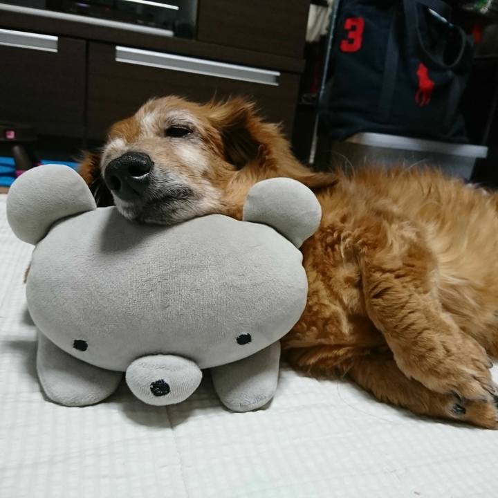 1a5bb503 5aee 4719 95d4 8eda192d5bca