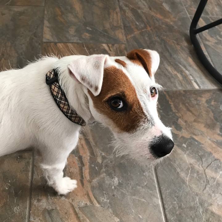 1a5c0825 f66c 4ac3 a139 eaf64fdeadeb