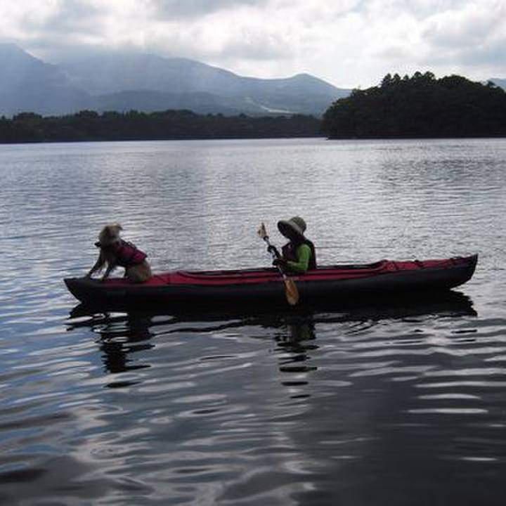 1a5c3a3c 4e66 4269 aa50 35b9dc1f026a