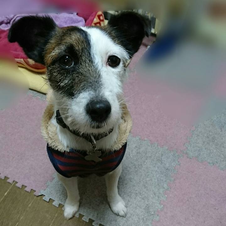 1a5c51e9 0e2a 4339 9f9f 77f5c03dc578