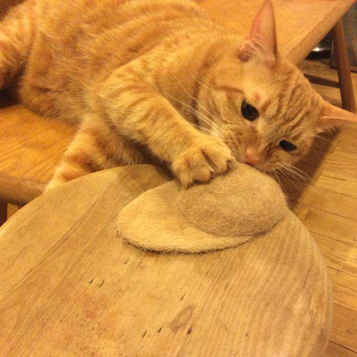 1a5caa9f 078b 46e6 81cb 8625bcd1961e