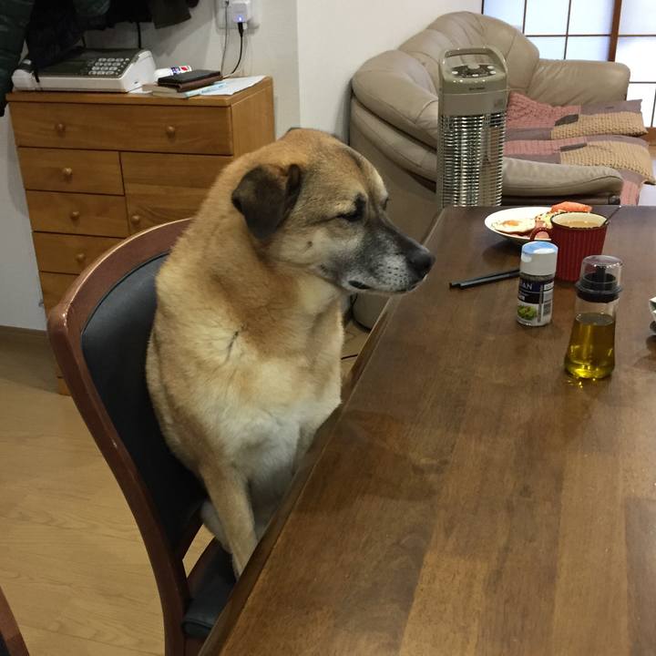 1a5d0934 405b 43f8 8dee 7fea58abfe20