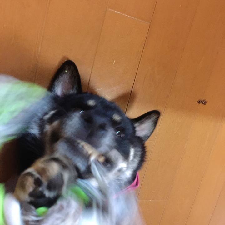 1a5d1cca f755 4ff8 b053 2f8ce57a42c3