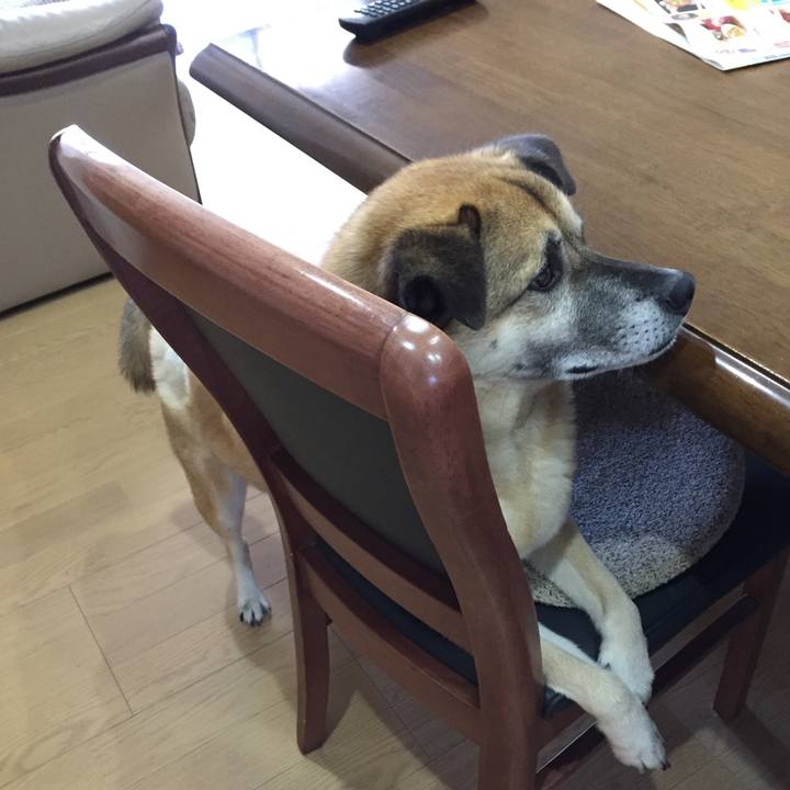 1a5d7ca7 2be2 40a9 8b55 49a3f8de02f1