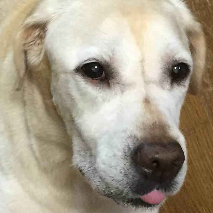 1a5da353 bfc9 4402 9fec f6f68e722911