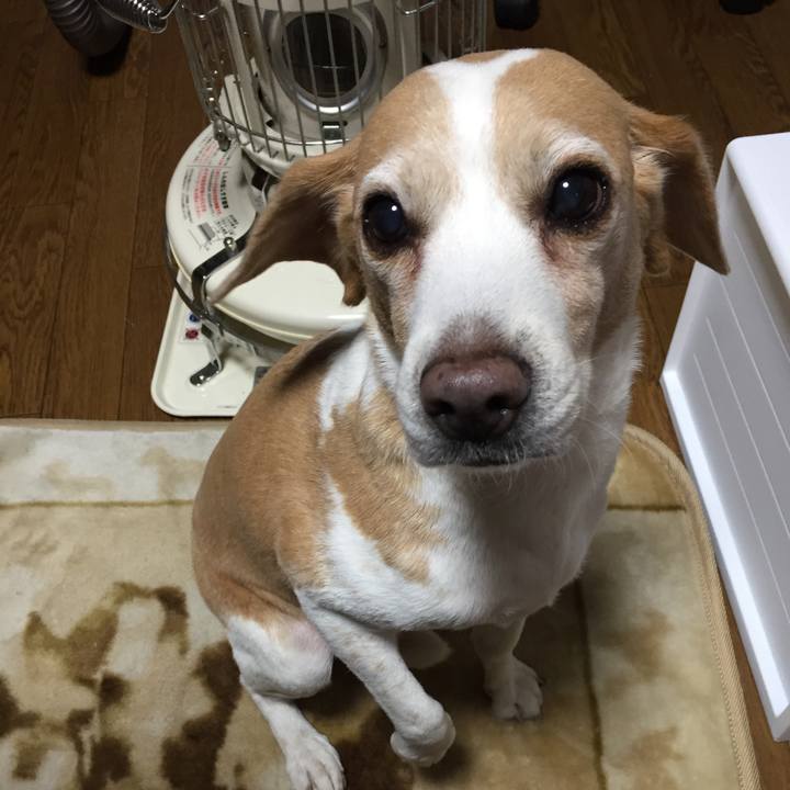 1a5eb0e9 f3e9 494b 97d2 9de2caaef189