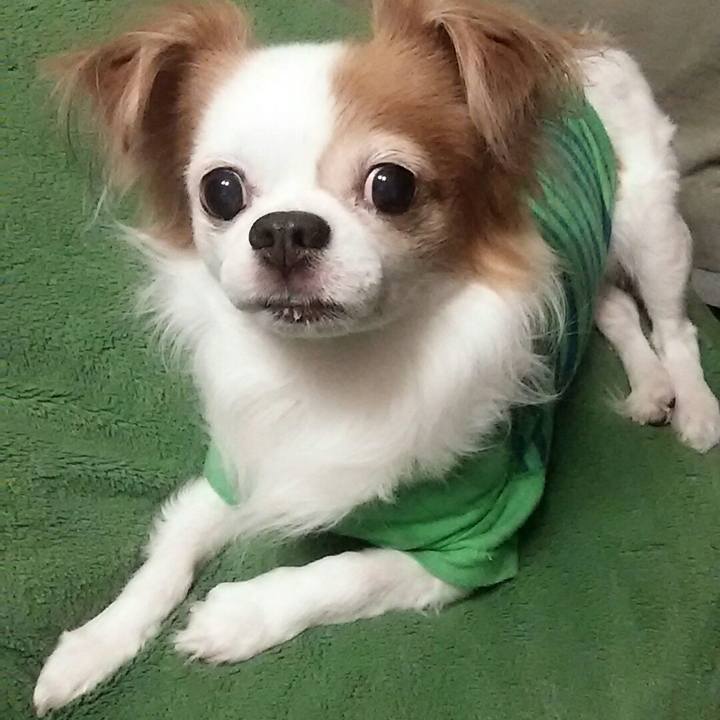 1a5ef100 6dd6 4da6 bb56 821328018165