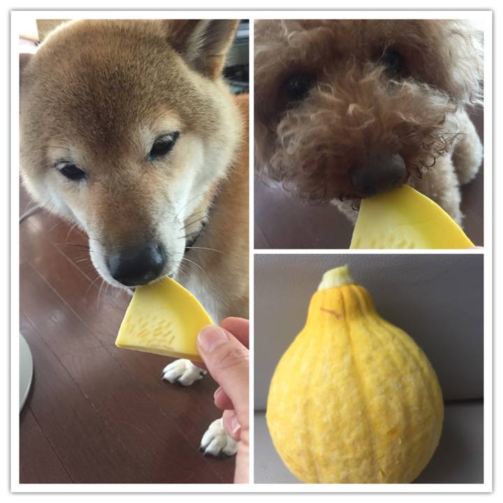 1a607c3e 4409 4c4b 8015 58be0439deab