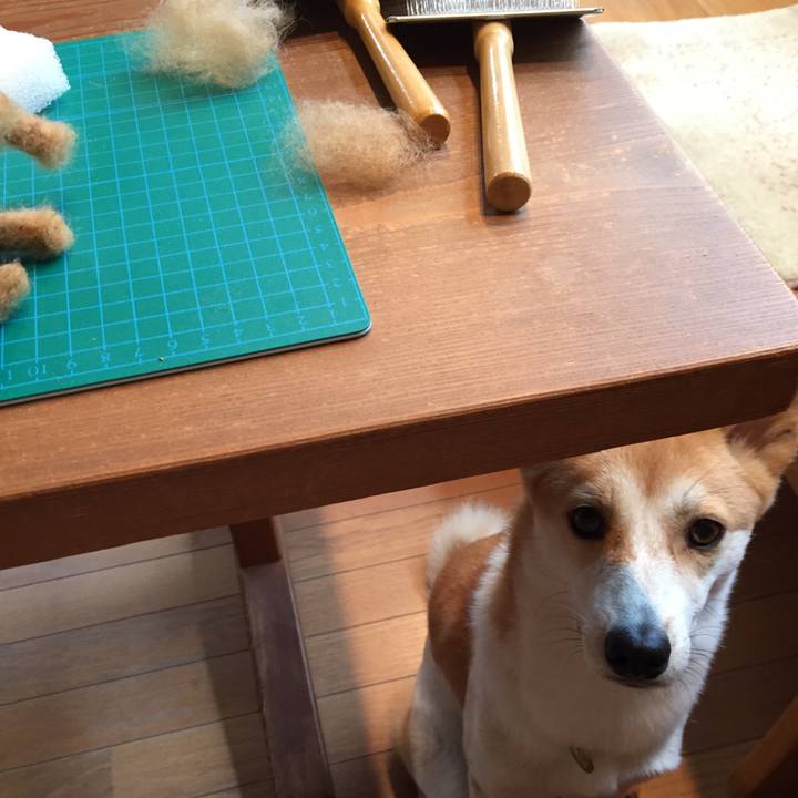 1a615822 0c5c 494e 8fd0 29a8166df724