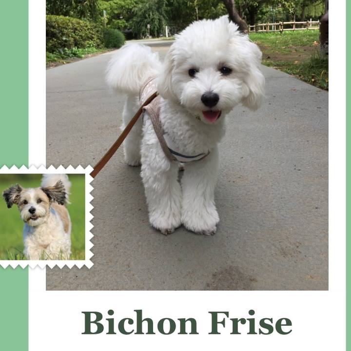 1a61a827 b23e 4393 a5a1 203efa0aeeda