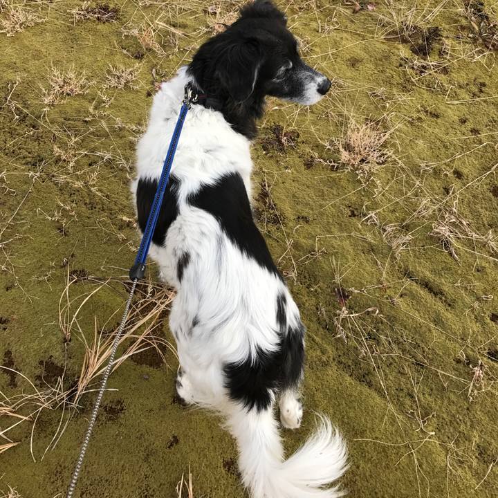 1a61d7f6 1c9d 41a6 a73d ce9b088ea52e