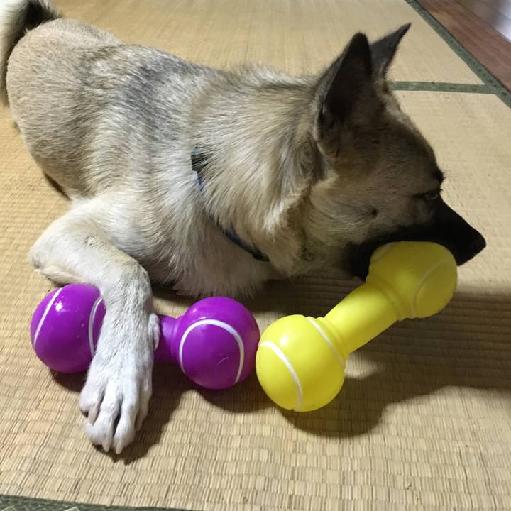 1a62448c aabc 4ed0 9611 66dacc5eda52