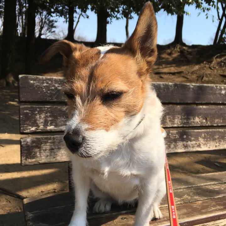 1a62827c 4a5b 44e4 9f0c aa722687275b