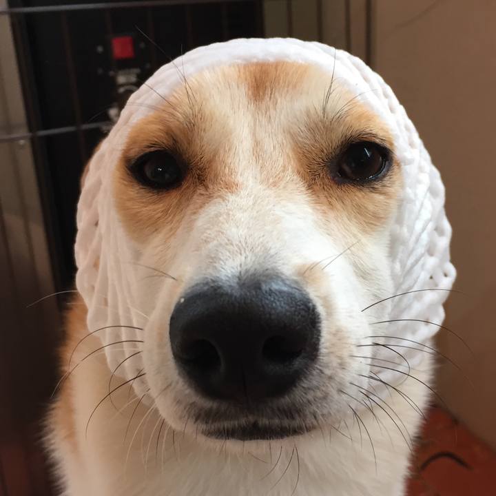 1a62d38b 5785 40bc 8013 f5f888d71e3f