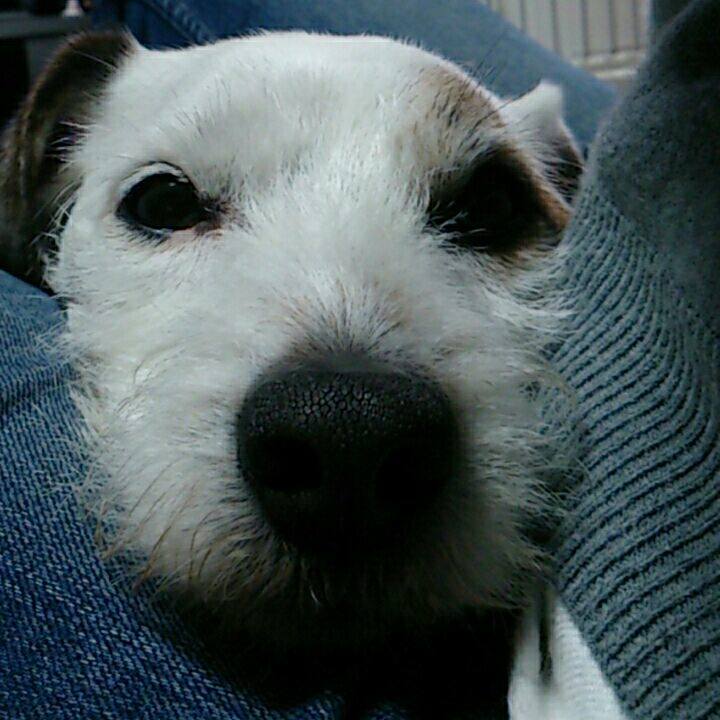 1a62e92b 49af 4c00 83ef 9eb646fe468a