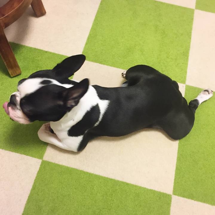 1a631b2c 5a8e 4d8f bc5f bfa09a0d0195