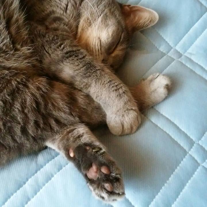 1a63c9f4 700f 42e5 9d00 14c52e3ad7e7