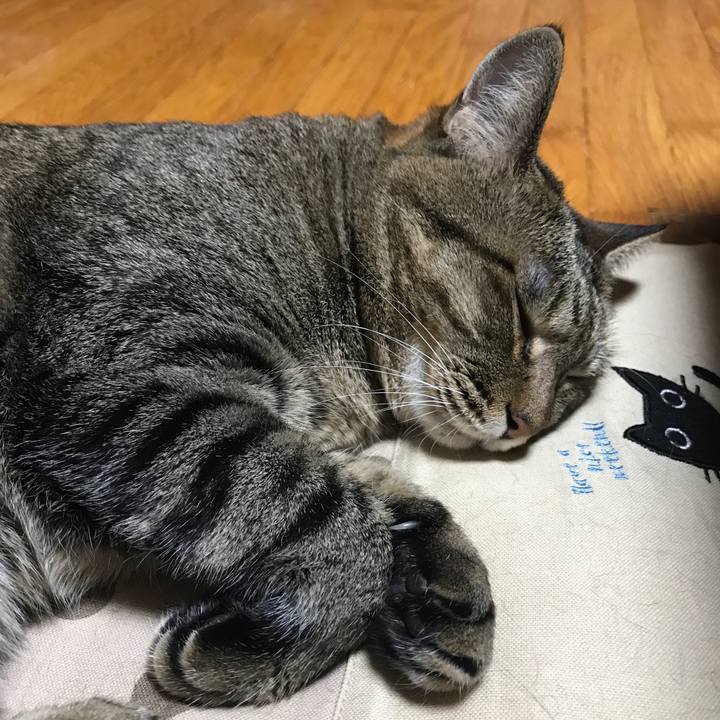 1a63eefd c34a 45b0 84d1 6c7e091135a3